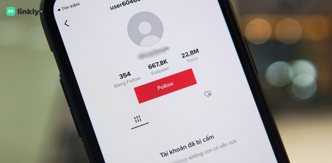 Làm Thế Nào Để Khôi Phục Tài Khoản Tiktok Bị Đình Chỉ Nhanh Chóng? 6 Tài Khoản Tiktok Bị Đình Chỉ