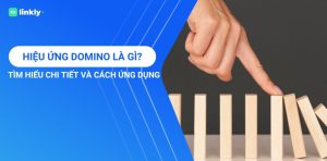 Hiệu Ứng Domino Là Gì?