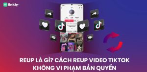 Reup Tiktok Là Gì?